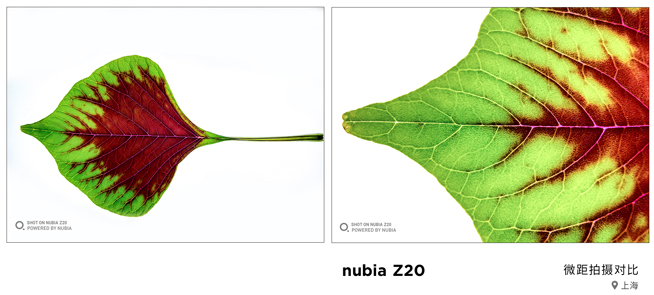 努比亞Z20露臉：對稱式雙曲面設(shè)計 變焦+超廣角+微距拍照樣樣精通