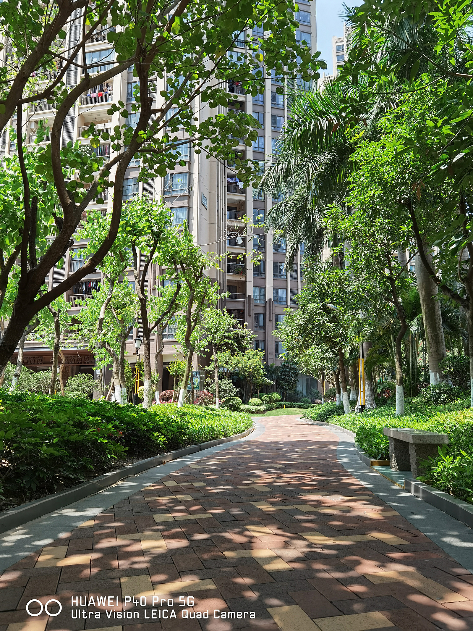 DxO第一到底強在哪？華為P40 Pro掃街實測給你答案