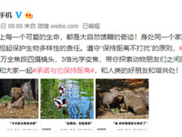 聚焦野生動(dòng)物保護(hù) 榮耀30系列聯(lián)合倡議用長(zhǎng)焦守護(hù)地球上的朋友們