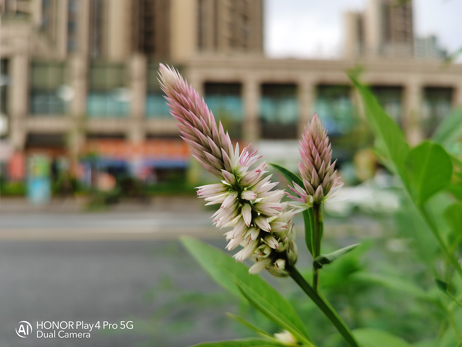 榮耀Play4 Pro紅外測溫版詳測：5G硬核新寵，還有獨門黑科技