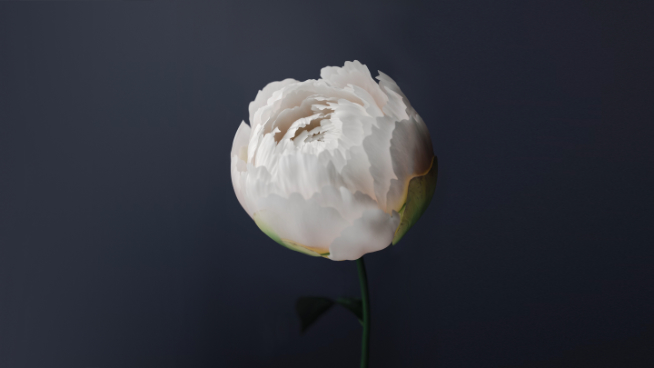 彩蛋逐漸解鎖有意思 vivo全新系統(tǒng)OriginOS發(fā)布完即可升級？！