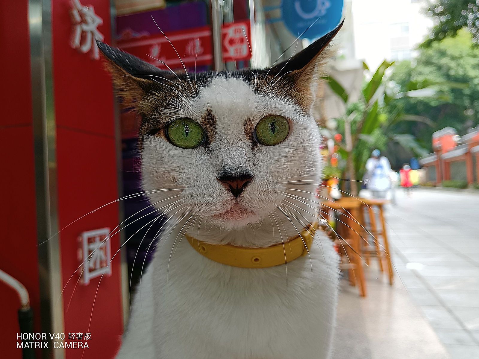 榮耀V40輕奢版評(píng)測(cè)：讓5G手機(jī)更快、更輕、更美