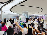 反詐知識庫又更新了，OPPO攜手微信支付開展防詐課堂