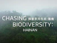 探索天璣影像，MediaTek攜手Discovery記錄自然之美