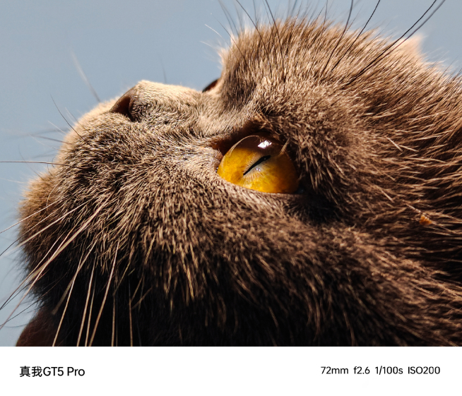 即將來到戰(zhàn)場的是：真我GT5 Pro！售價(jià)3499元起刺向友商？