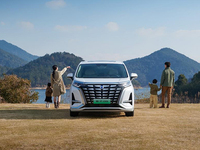 最懂用戶的宜商宜家全能MPV！2024款騰勢(shì)D9正式上市