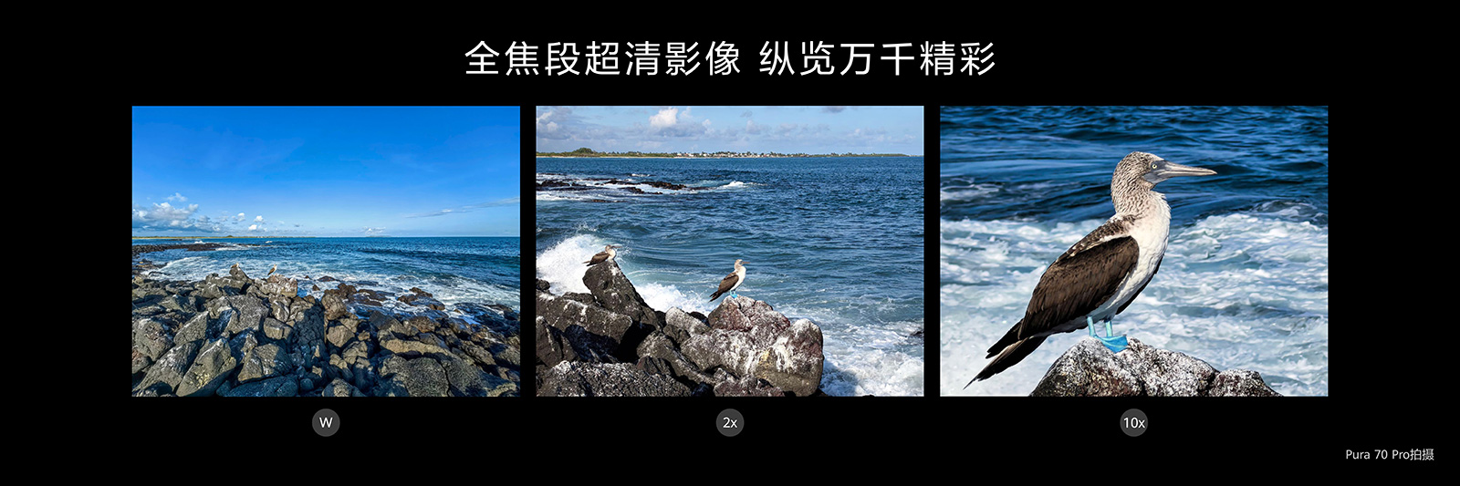 幾分鐘解決糾結(jié)癥！618大促華為Pura 70系列推薦，誰是你的C位？