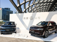 問界M9 2025款發(fā)布上市，車載小藝體驗(yàn)升級支持深度思考