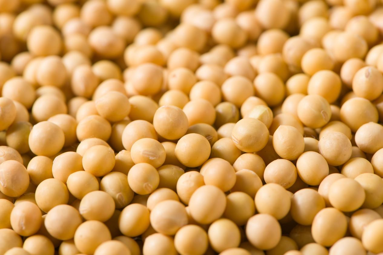 數(shù)智聯(lián)通·廣貨行天下丨5G+AI釀出“鮮”滋味